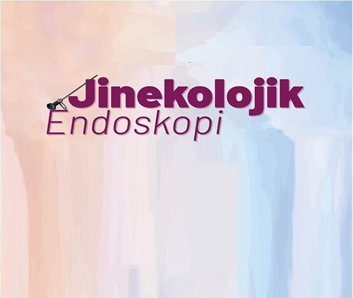 Jinekolojik Endoskopi